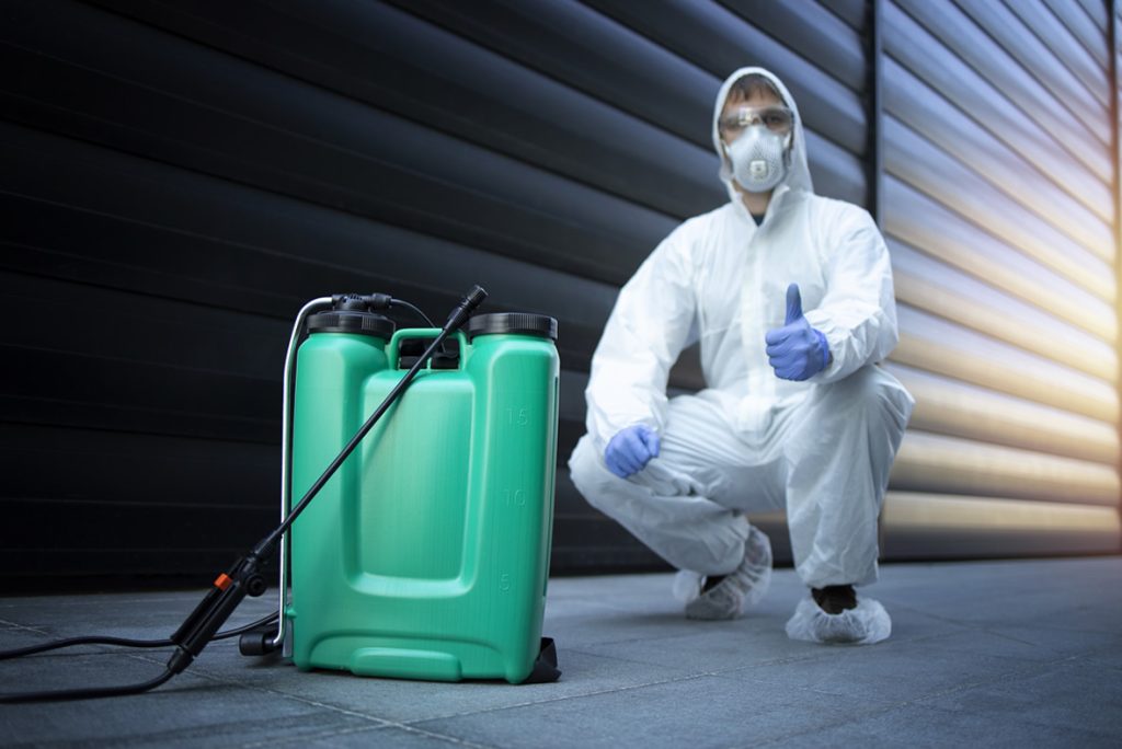 End of Lease Pest Control Brisbane End Of Lease Flea Treatment