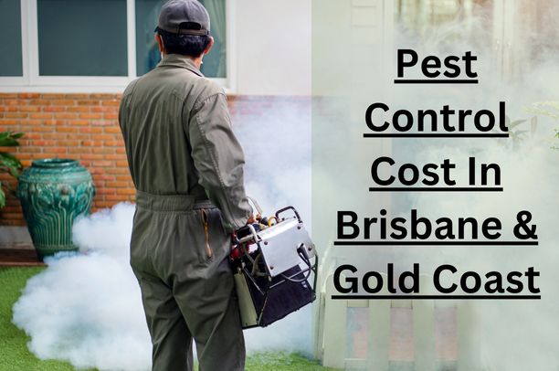 PEST CONTROL COST IN BRISBANE & GOLD COAST