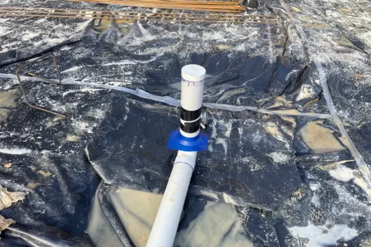 Recharge Your Termite Reticulation System in Brisbane